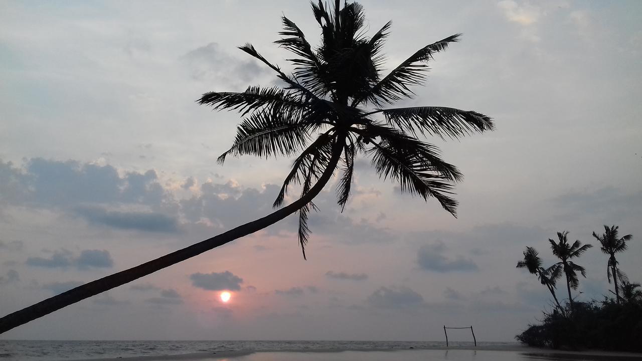 Marari Coastal Dreams Home Stay Alappuzha Exteriér fotografie