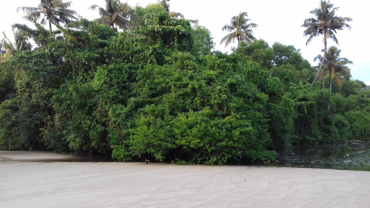 Marari Coastal Dreams Home Stay Alappuzha Exteriér fotografie